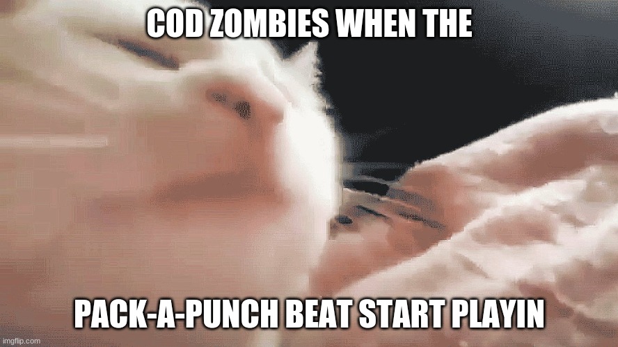 Good Zomb Vibes | COD ZOMBIES WHEN THE; PACK-A-PUNCH BEAT START PLAYIN | image tagged in cat just vibing | made w/ Imgflip meme maker