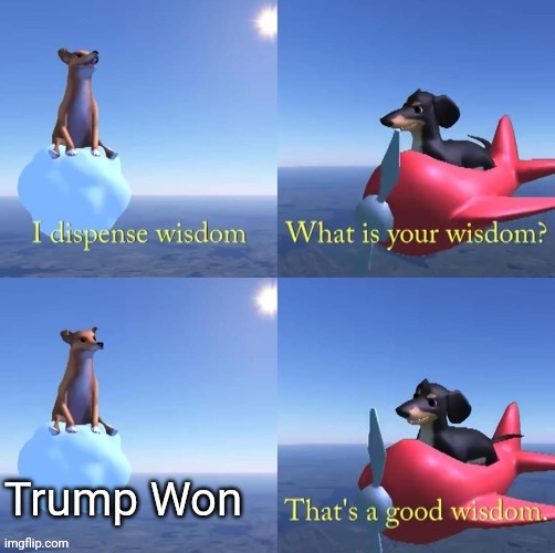 Wisdom of the ages | Trump Won | image tagged in wisdom dog | made w/ Imgflip meme maker