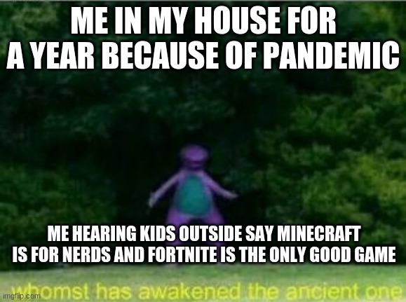 VERY TRUE | ME IN MY HOUSE FOR A YEAR BECAUSE OF PANDEMIC; ME HEARING KIDS OUTSIDE SAY MINECRAFT IS FOR NERDS AND FORTNITE IS THE ONLY GOOD GAME | image tagged in minecraft,fortnite,meme,fortnite bad minecraft good | made w/ Imgflip meme maker