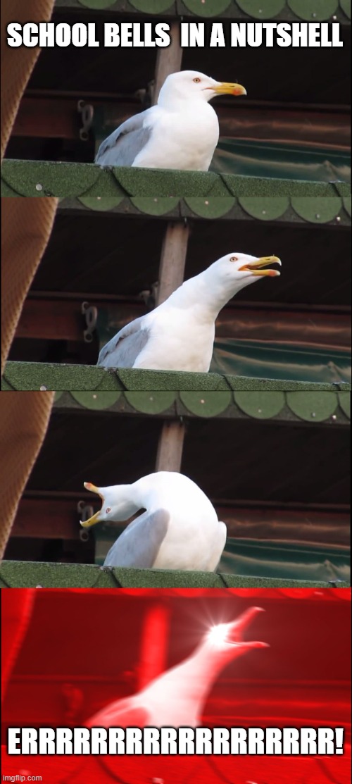 School bells in a nutshell | SCHOOL BELLS  IN A NUTSHELL; ERRRRRRRRRRRRRRRRRR! | image tagged in memes,inhaling seagull | made w/ Imgflip meme maker