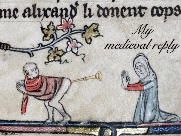 Medieval Butt Trumpet | My medieval reply | image tagged in medieval butt trumpet | made w/ Imgflip meme maker