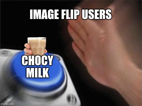 Blank Nut Button Meme | IMAGE FLIP USERS; CHOCY MILK | image tagged in memes,blank nut button | made w/ Imgflip meme maker