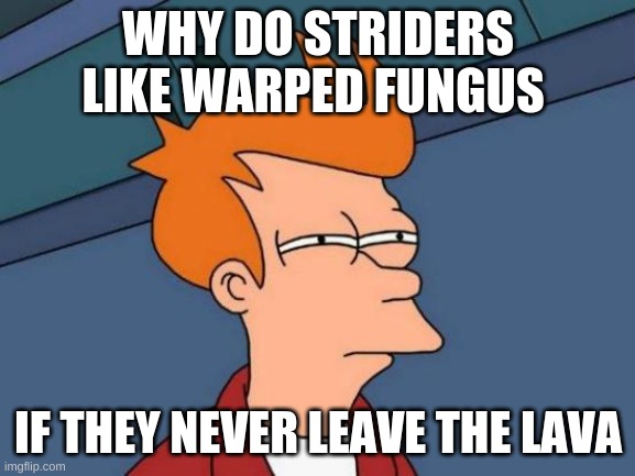 Futurama Fry Meme | WHY DO STRIDERS LIKE WARPED FUNGUS; IF THEY NEVER LEAVE THE LAVA | image tagged in memes,futurama fry | made w/ Imgflip meme maker