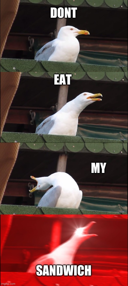 Inhaling Seagull Meme | DONT; EAT; MY; SANDWICH | image tagged in memes,inhaling seagull | made w/ Imgflip meme maker