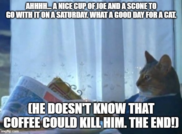 I Should Buy A Boat Cat | AHHHH... A NICE CUP OF JOE AND A SCONE TO GO WITH IT ON A SATURDAY. WHAT A GOOD DAY FOR A CAT. (HE DOESN'T KNOW THAT COFFEE COULD KILL HIM. THE END!) | image tagged in memes,i should buy a boat cat | made w/ Imgflip meme maker