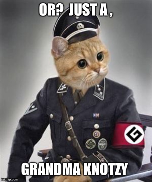 Grammar Nazi Cat | OR?  JUST A , GRANDMA KNOTZY | image tagged in grammar nazi cat | made w/ Imgflip meme maker