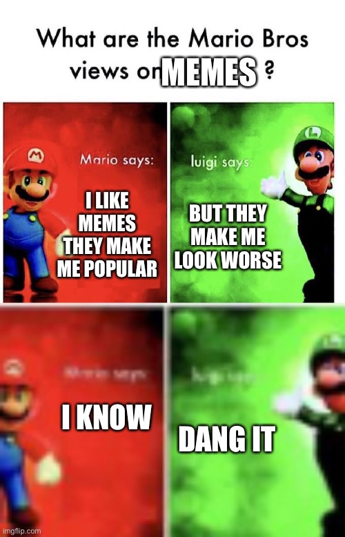 MEMES; I LIKE MEMES THEY MAKE ME POPULAR; BUT THEY MAKE ME LOOK WORSE; I KNOW; DANG IT | image tagged in mario bros views | made w/ Imgflip meme maker