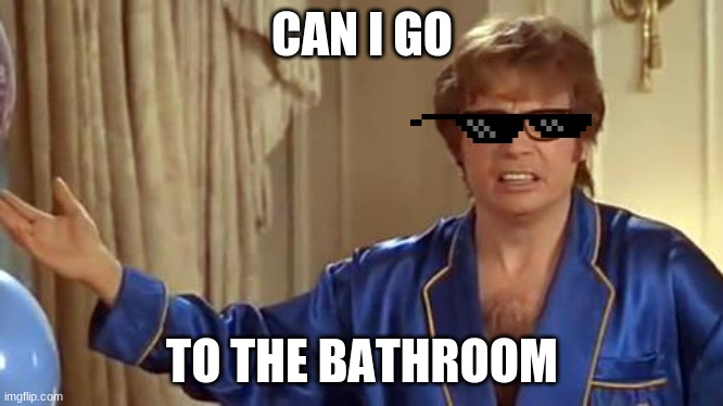 Austin Powers Honestly Meme | CAN I GO; TO THE BATHROOM | image tagged in memes,austin powers honestly | made w/ Imgflip meme maker