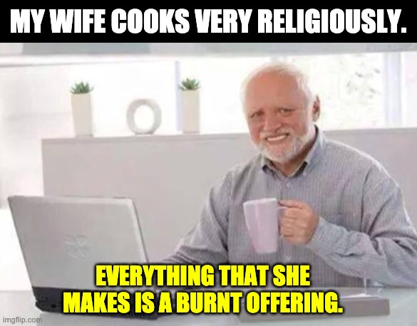 Religious cook | MY WIFE COOKS VERY RELIGIOUSLY. EVERYTHING THAT SHE MAKES IS A BURNT OFFERING. | image tagged in harold | made w/ Imgflip meme maker