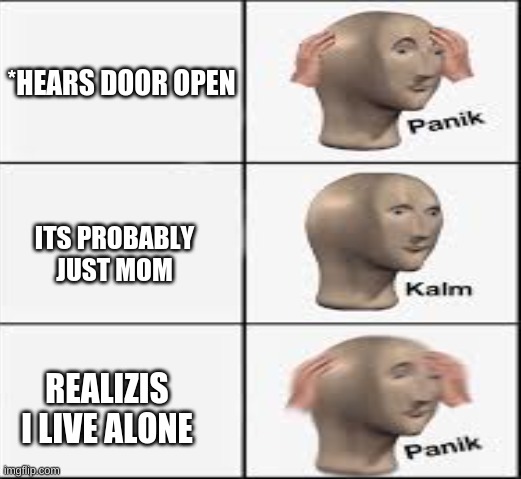 *HEARS DOOR OPEN; ITS PROBABLY JUST MOM; REALIZIS I LIVE ALONE | image tagged in memes,funny | made w/ Imgflip meme maker