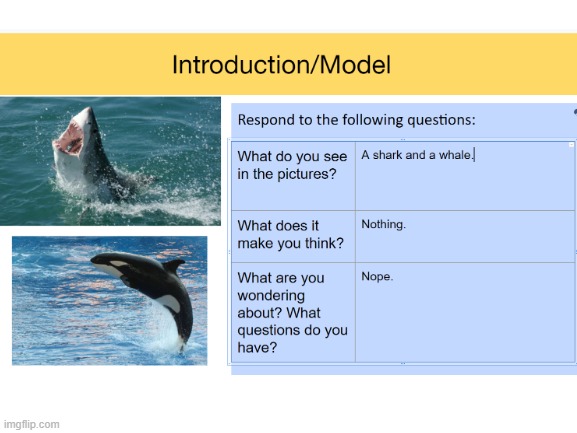 School | image tagged in memes,blank white template,school | made w/ Imgflip meme maker