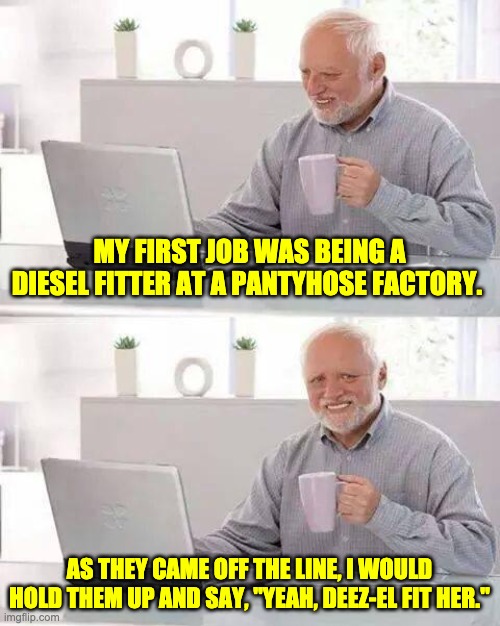 Diesel Fitter | MY FIRST JOB WAS BEING A DIESEL FITTER AT A PANTYHOSE FACTORY. AS THEY CAME OFF THE LINE, I WOULD HOLD THEM UP AND SAY, "YEAH, DEEZ-EL FIT HER." | image tagged in memes,hide the pain harold | made w/ Imgflip meme maker