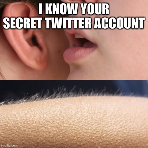 Whisper and Goosebumps | I KNOW YOUR SECRET TWITTER ACCOUNT | image tagged in whisper and goosebumps | made w/ Imgflip meme maker