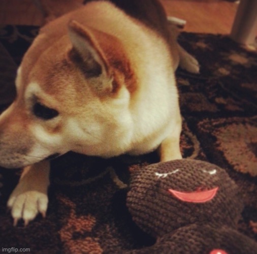 It looks like Shibe murdered Gingerbread man | made w/ Imgflip meme maker
