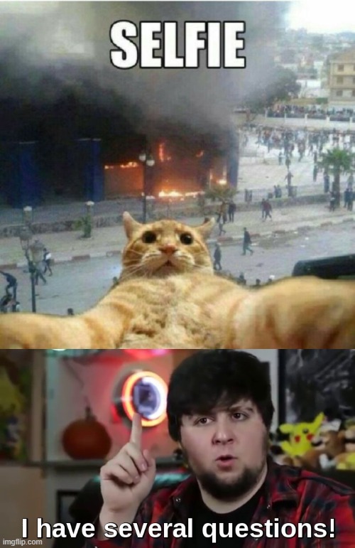 Cat taking a selfie during a disaster... | image tagged in i have several questions hd,memes,funny | made w/ Imgflip meme maker