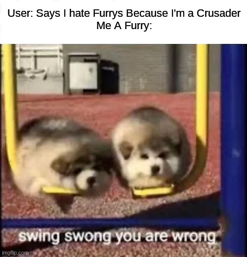 SWING SWONG YOU ARE WRONG | User: Says I hate Furrys Because I'm a Crusader
Me A Furry: | image tagged in swing swong you are wrong | made w/ Imgflip meme maker