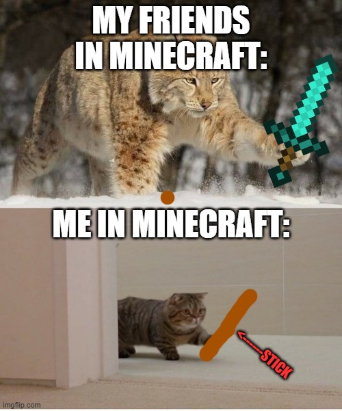 True | MY FRIENDS IN MINECRAFT:; ME IN MINECRAFT:; <------STICK | image tagged in tiger cat | made w/ Imgflip meme maker