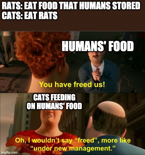 Under New Management | RATS: EAT FOOD THAT HUMANS STORED
CATS: EAT RATS; HUMANS' FOOD; CATS FEEDING ON HUMANS' FOOD | image tagged in under new management | made w/ Imgflip meme maker