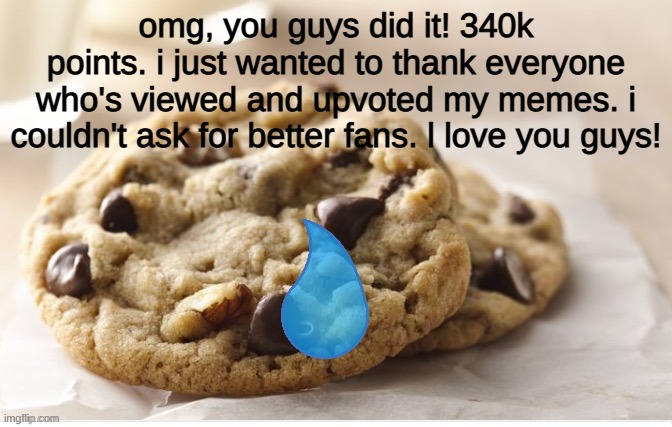 you people are awesome! | omg, you guys did it! 340k points. i just wanted to thank everyone who's viewed and upvoted my memes. i couldn't ask for better fans. l love you guys! | image tagged in oh wow are you actually reading these tags | made w/ Imgflip meme maker