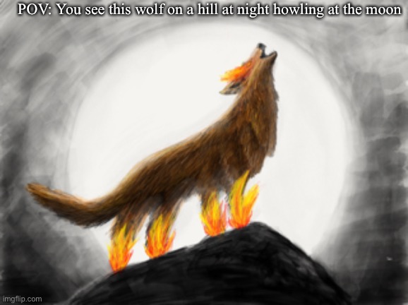 POV: You see this wolf on a hill at night howling at the moon | made w/ Imgflip meme maker