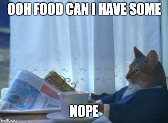 I Should Buy A Boat Cat Meme | OOH FOOD CAN I HAVE SOME; NOPE | image tagged in memes,i should buy a boat cat | made w/ Imgflip meme maker