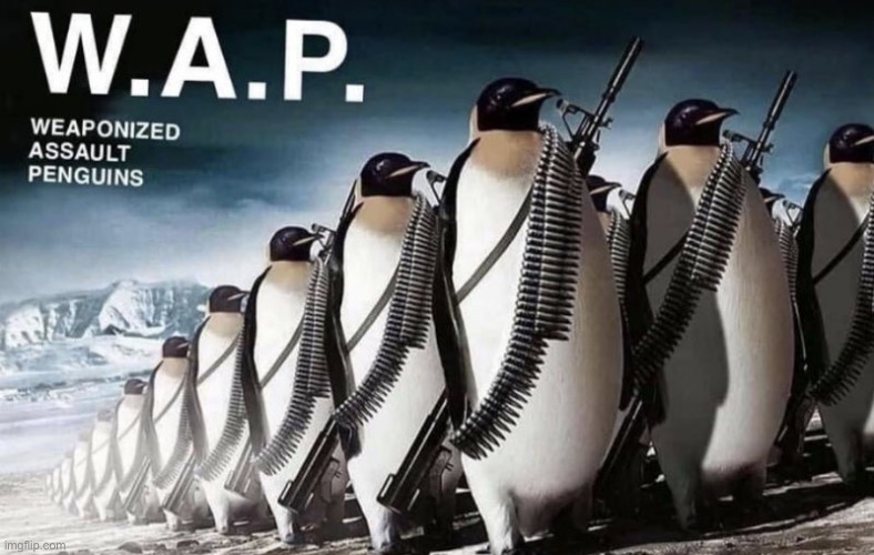 wap | image tagged in penguins,wap,memes,funny,oh wow are you actually reading these tags | made w/ Imgflip meme maker