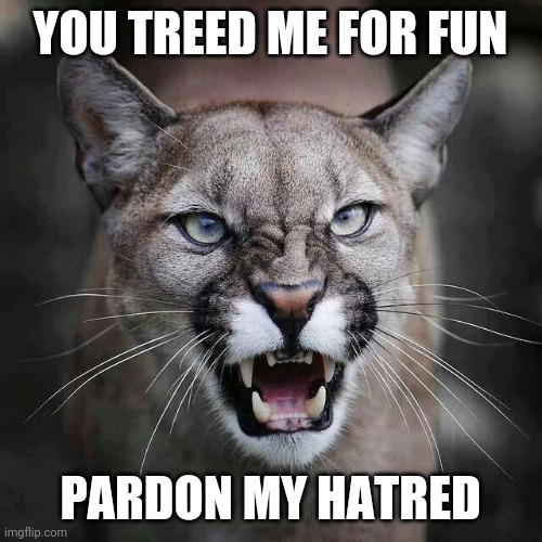 people suck | YOU TREED ME FOR FUN; PARDON MY HATRED | image tagged in growling cougar mountain lion | made w/ Imgflip meme maker