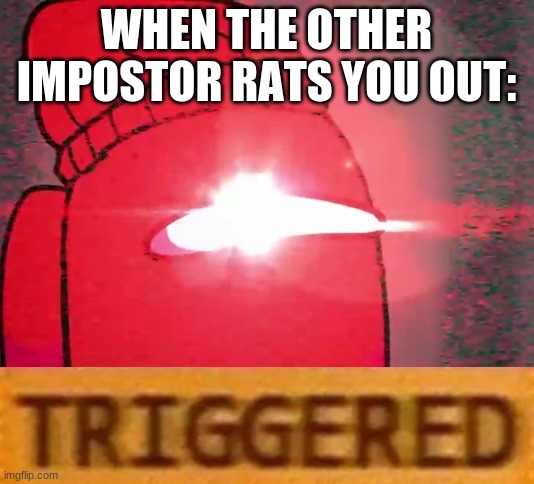 these ppl should be banned | WHEN THE OTHER IMPOSTOR RATS YOU OUT: | image tagged in among us logic t r i g g e r e d,among us | made w/ Imgflip meme maker