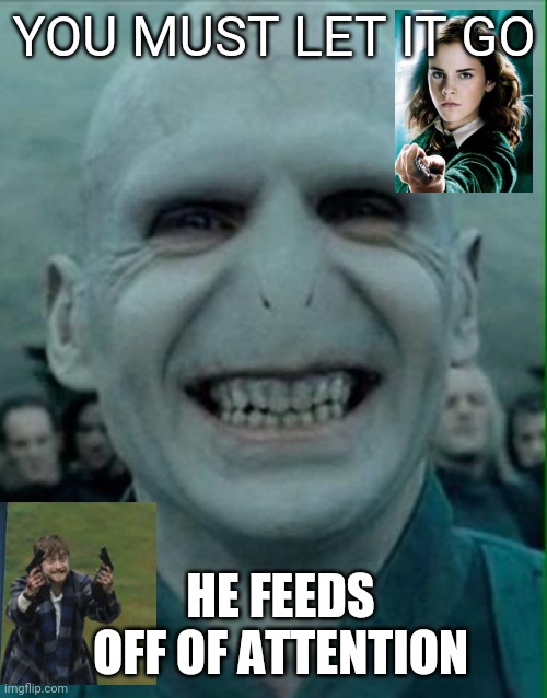 Voldemort Grin | YOU MUST LET IT GO HE FEEDS OFF OF ATTENTION | image tagged in voldemort grin | made w/ Imgflip meme maker