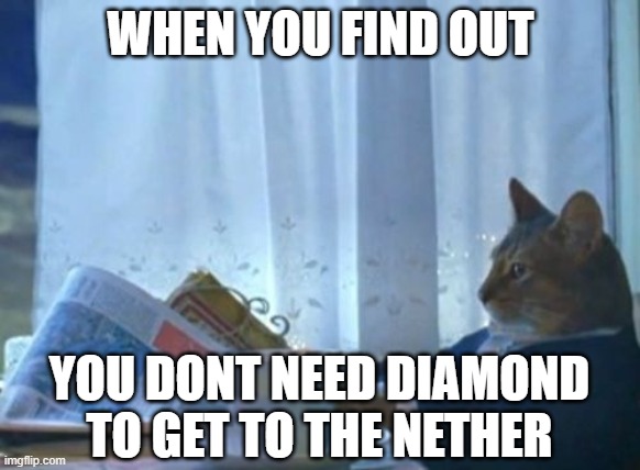 Nobody: Minecraft Gods: | WHEN YOU FIND OUT; YOU DONT NEED DIAMOND TO GET TO THE NETHER | image tagged in memes,i should buy a boat cat,minecraft,diamonds suck lol,funny,dastarminers awesome memes | made w/ Imgflip meme maker