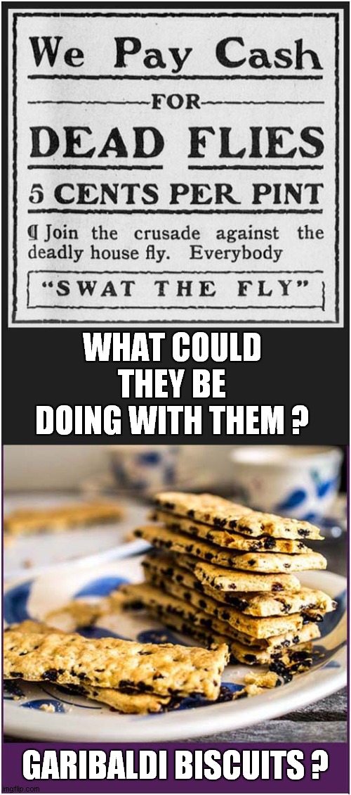Tasty Dead Fly Biscuits ! | WHAT COULD THEY BE DOING WITH THEM ? GARIBALDI BISCUITS ? | image tagged in flies,biscuits | made w/ Imgflip meme maker