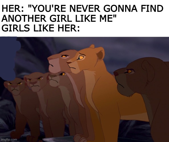 they are the same | HER: "YOU'RE NEVER GONNA FIND 
ANOTHER GIRL LIKE ME"
GIRLS LIKE HER: | image tagged in lion king,lions,girls | made w/ Imgflip meme maker