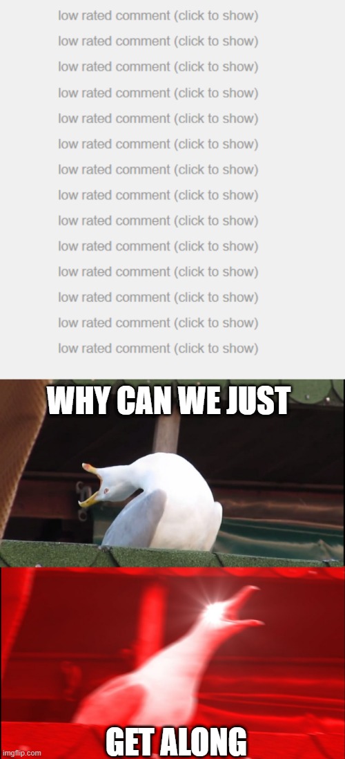 why? | WHY CAN WE JUST; GET ALONG | image tagged in screaming bird,low rated comments | made w/ Imgflip meme maker