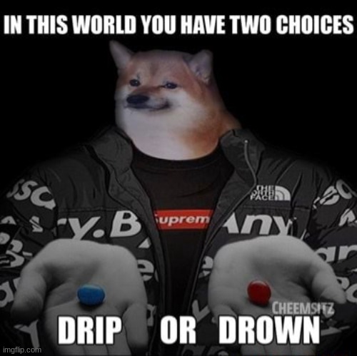 Choose | image tagged in doge,drip,drown | made w/ Imgflip meme maker