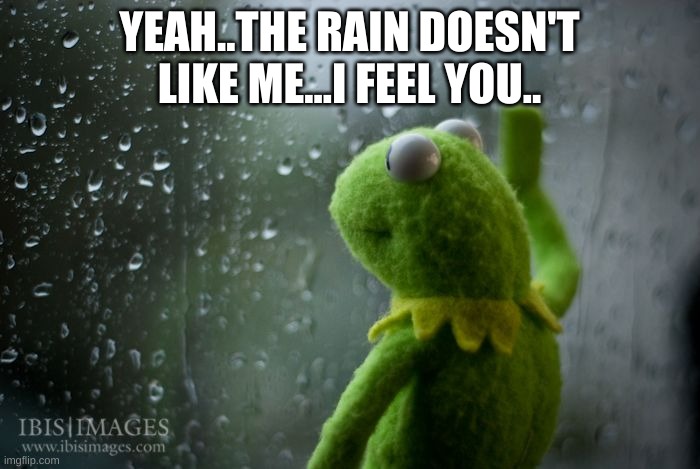 kermit window | YEAH..THE RAIN DOESN'T LIKE ME...I FEEL YOU.. | image tagged in kermit window | made w/ Imgflip meme maker