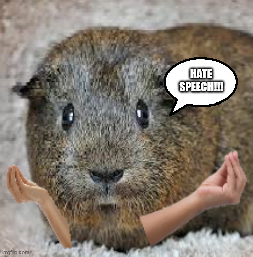 HATE SPEECH!!! | image tagged in censorship | made w/ Imgflip meme maker