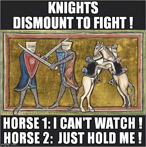 Medieval Horses Concern ! | KNIGHTS DISMOUNT TO FIGHT ! HORSE 1: I CAN'T WATCH !
HORSE 2:  JUST HOLD ME ! | image tagged in medieval,knights,horses | made w/ Imgflip meme maker