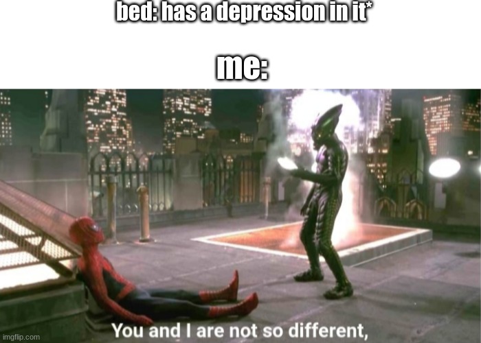 insert funny title here* |  bed: has a depression in it*; me: | image tagged in you and i are not so diffrent,memes | made w/ Imgflip meme maker
