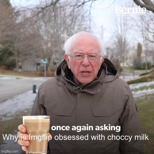 Bernie I Am Once Again Asking For Your Support | Why is Imgflip obsessed with choccy milk | image tagged in memes,bernie i am once again asking for your support | made w/ Imgflip meme maker