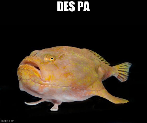 DES PA | made w/ Imgflip meme maker
