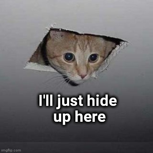 Ceiling Cat Meme | I'll just hide
 up here | image tagged in memes,ceiling cat | made w/ Imgflip meme maker