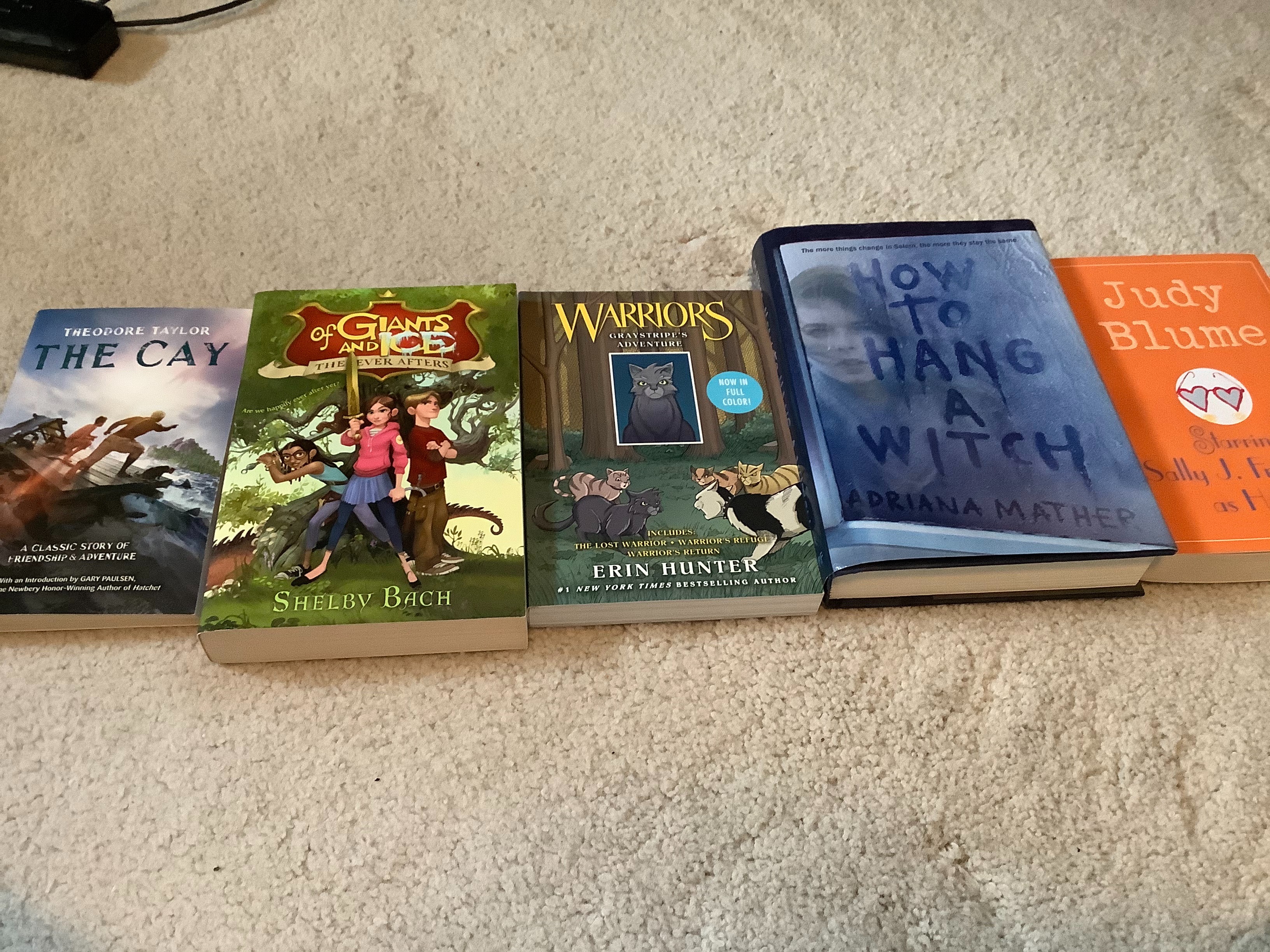 So my mom’s recommending me some books to read | made w/ Imgflip meme maker