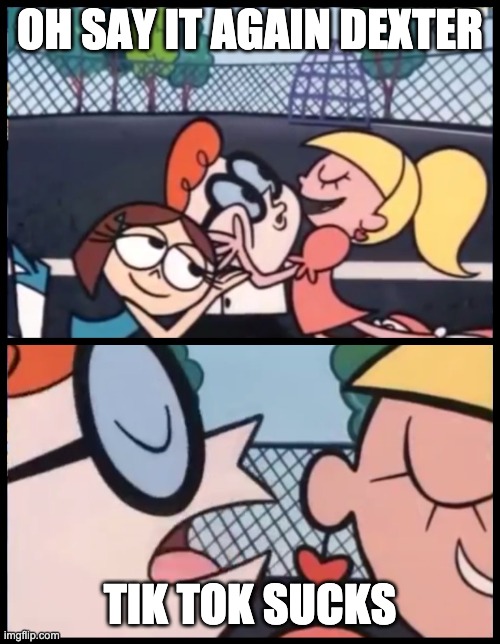 Say it Again, Dexter | OH SAY IT AGAIN DEXTER; TIK TOK SUCKS | image tagged in memes,say it again dexter | made w/ Imgflip meme maker