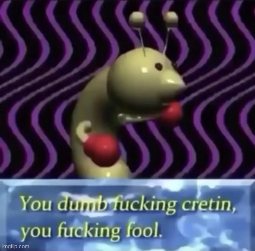 You dumb fucking fool | image tagged in you dumb fucking fool | made w/ Imgflip meme maker