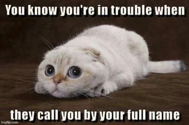 funny | image tagged in funny | made w/ Imgflip meme maker