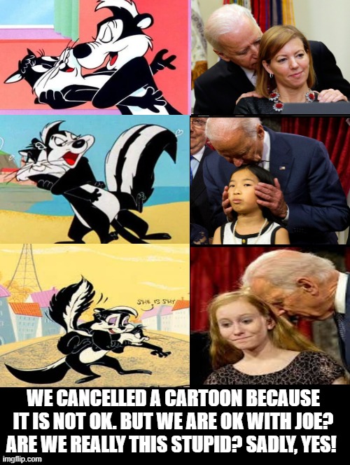 Are we really this stupid? Sadly, Yes! | WE CANCELLED A CARTOON BECAUSE IT IS NOT OK. BUT WE ARE OK WITH JOE? ARE WE REALLY THIS STUPID? SADLY, YES! | image tagged in morons,idiots,stupid liberals,creepy joe biden,democrats | made w/ Imgflip meme maker