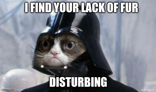 Grumpy Cat Star Wars | I FIND YOUR LACK OF FUR; DISTURBING | image tagged in memes,grumpy cat star wars,grumpy cat | made w/ Imgflip meme maker
