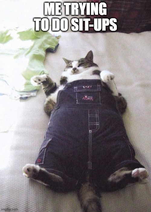 Fat Cat | ME TRYING TO DO SIT-UPS | image tagged in memes,fat cat | made w/ Imgflip meme maker