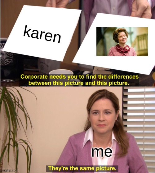 They're The Same Picture | karen; me | image tagged in memes,they're the same picture | made w/ Imgflip meme maker