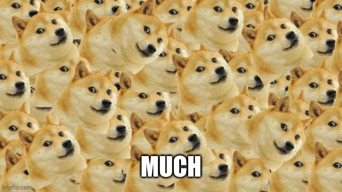 Multi Doge Meme | MUCH | image tagged in memes,multi doge | made w/ Imgflip meme maker